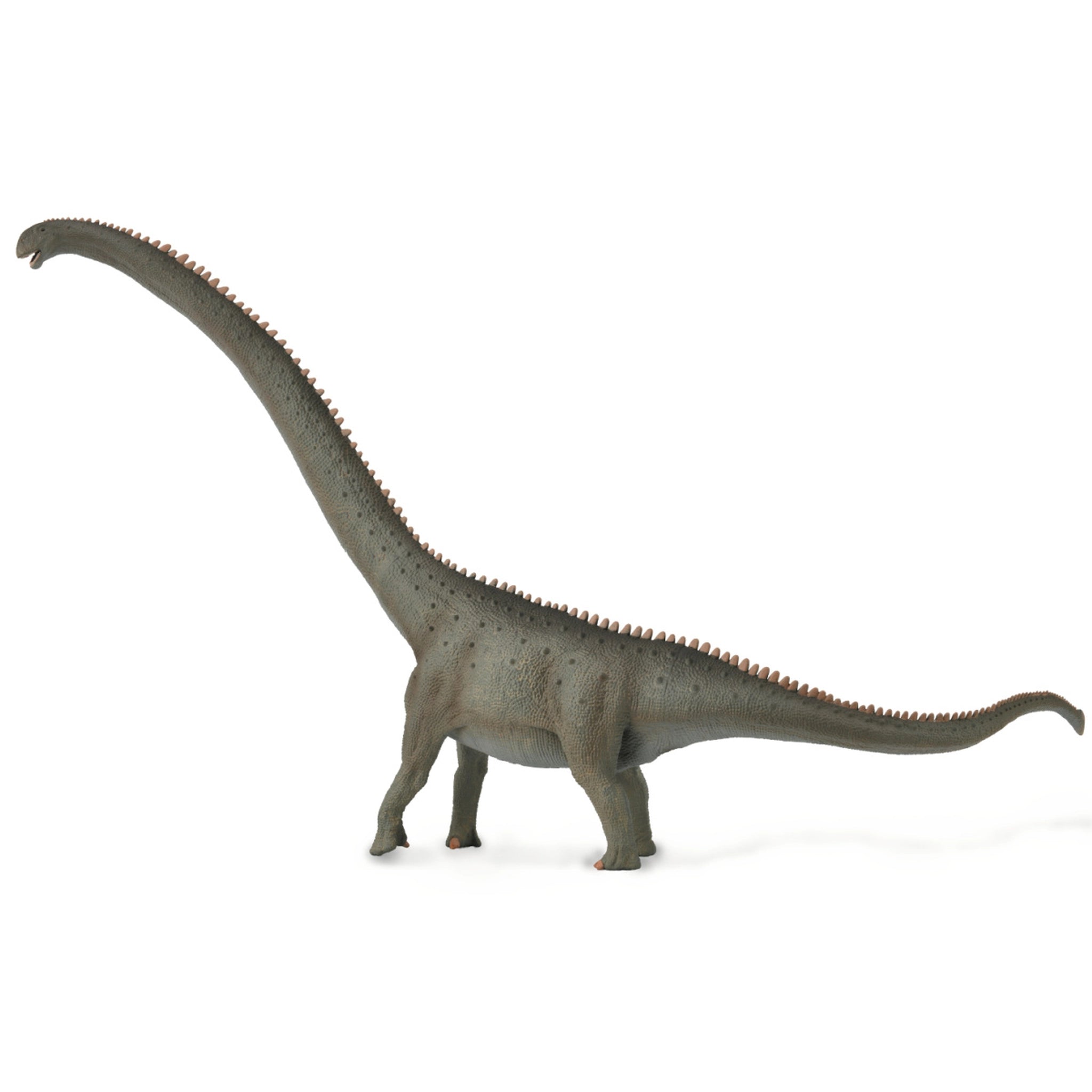CollectA Mamenchisaurus Deluxe