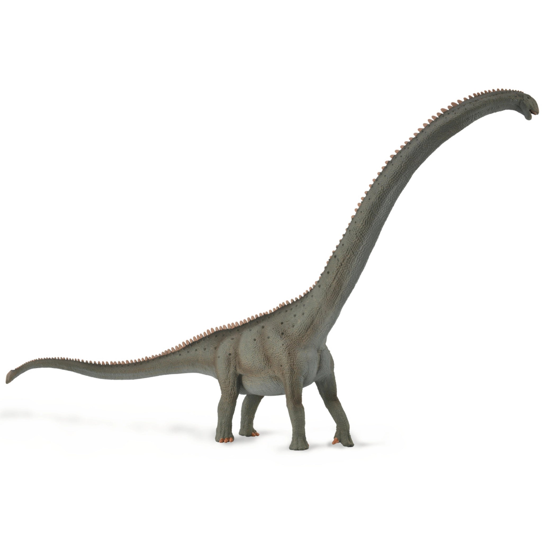 CollectA Mamenchisaurus Deluxe