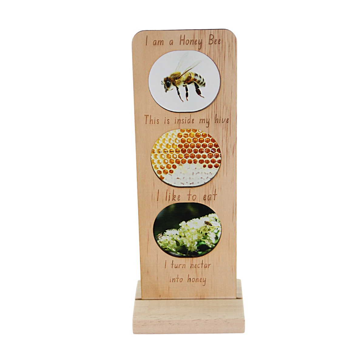 Eco System - In The Garden - Honey Bee
