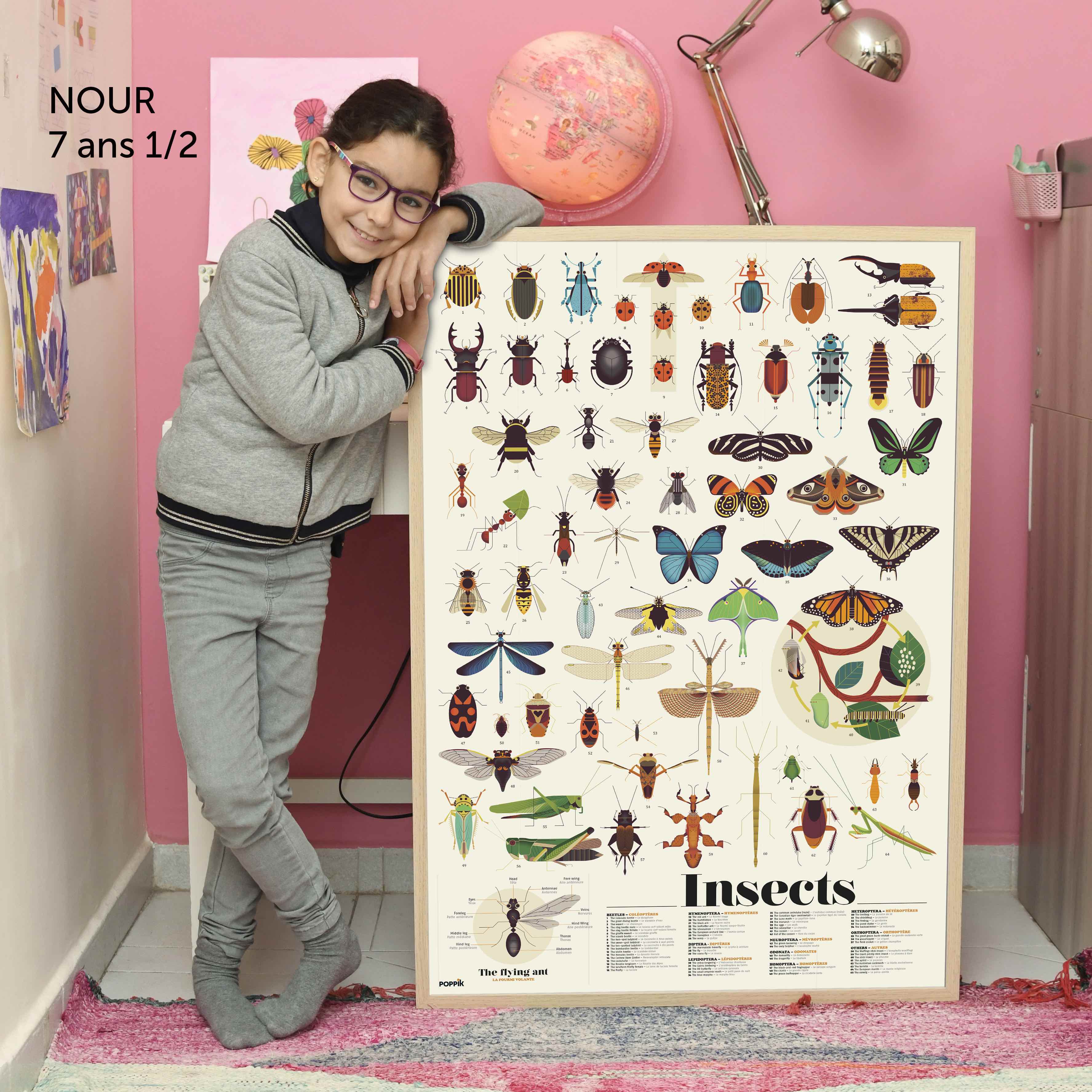 Discovery Insects Discovery - Insects – The Good Tree