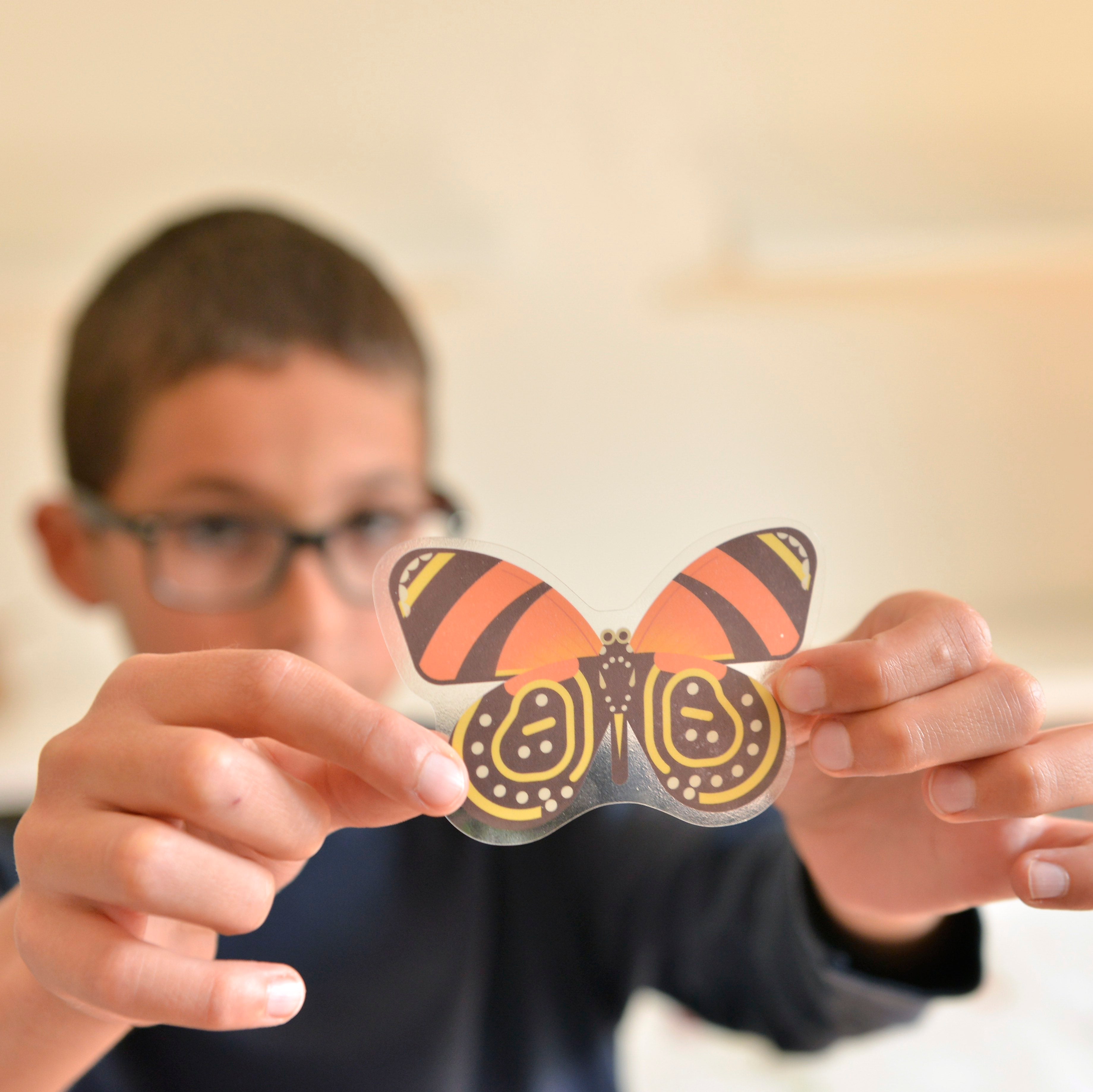 Discovery Insects Discovery - Insects – The Good Tree