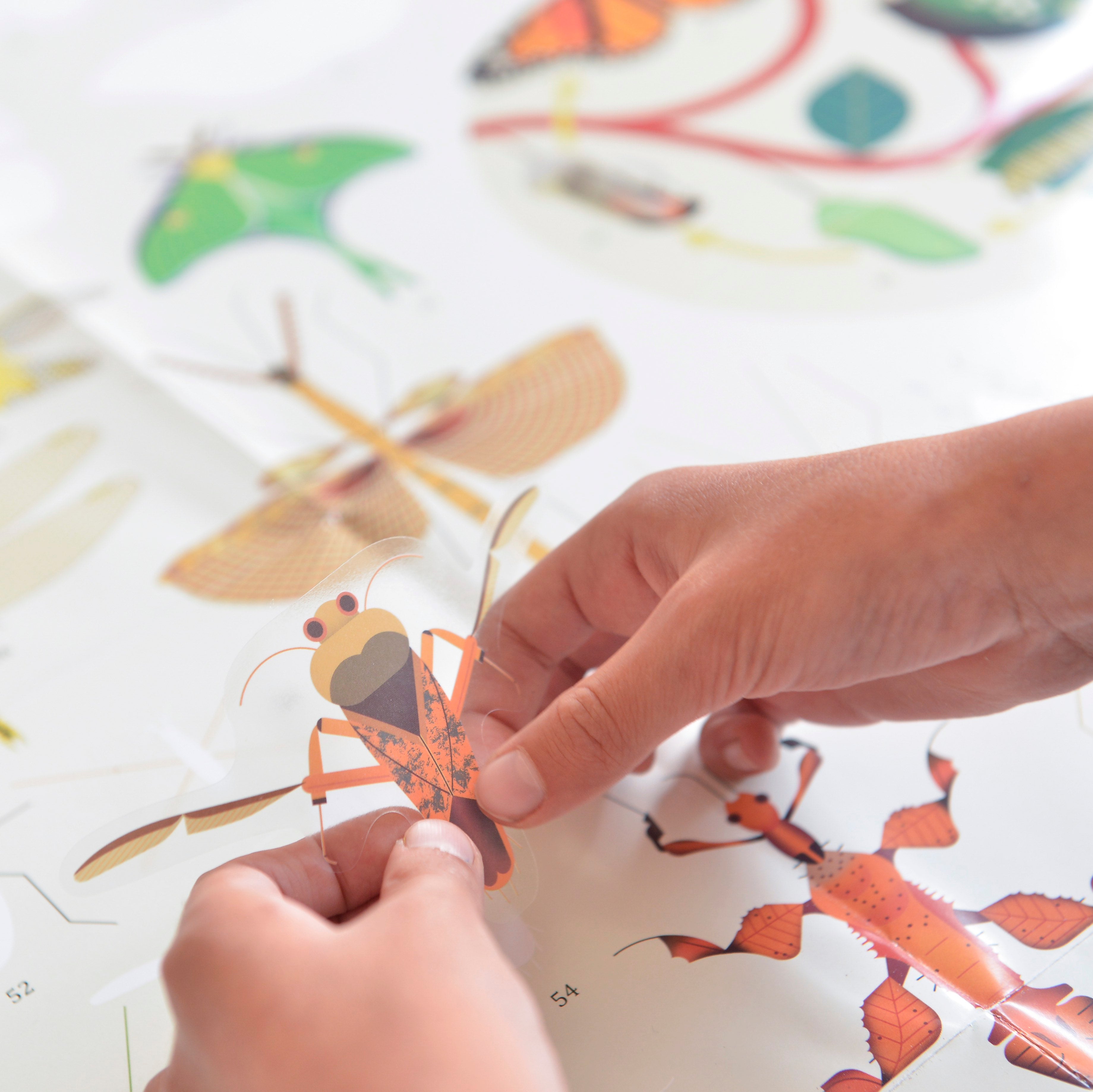 Discovery Insects Discovery - Insects – The Good Tree