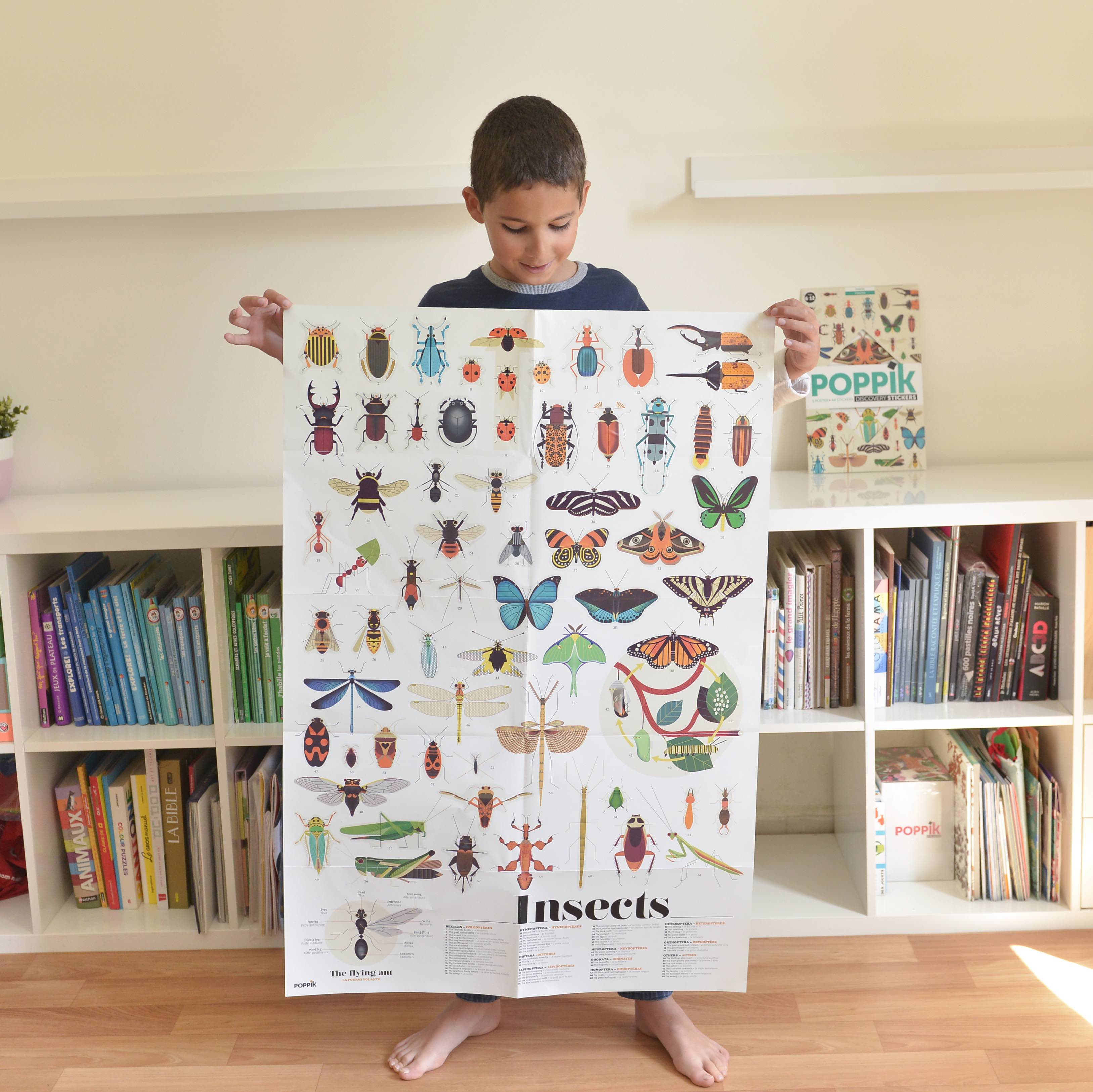Discovery Insects Discovery - Insects – The Good Tree