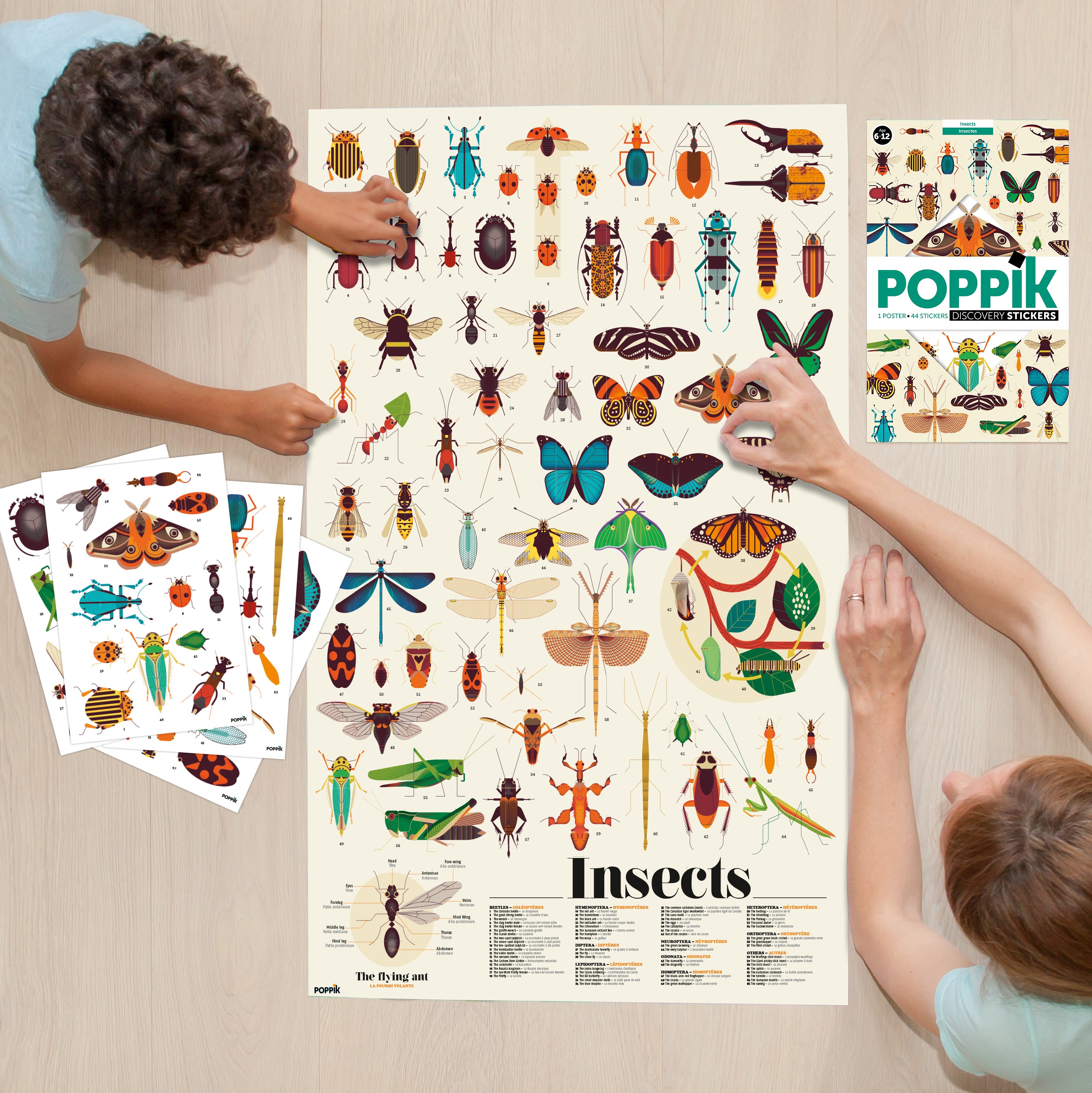 Discovery Insects Discovery - Insects – The Good Tree